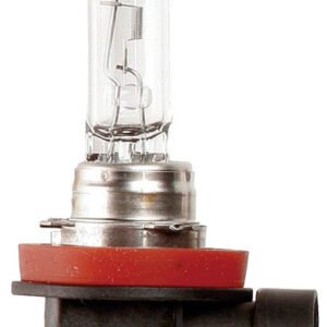 H11 711 Halogen Headlight Bulb 12V 55W Pack of 10