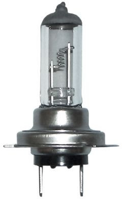 H7 Halogen Headlight Bulb 12V 55W Pack of 10